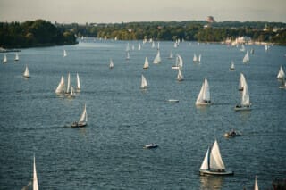 Segelboote auf einem ruhigen Gewässer mit grüner Uferlandschaft im Hintergrund.